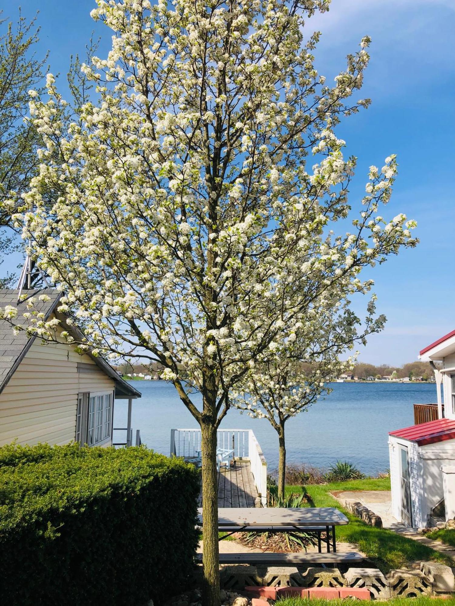 The Wellington Lake Cottage 米德尔伯里 外观 照片