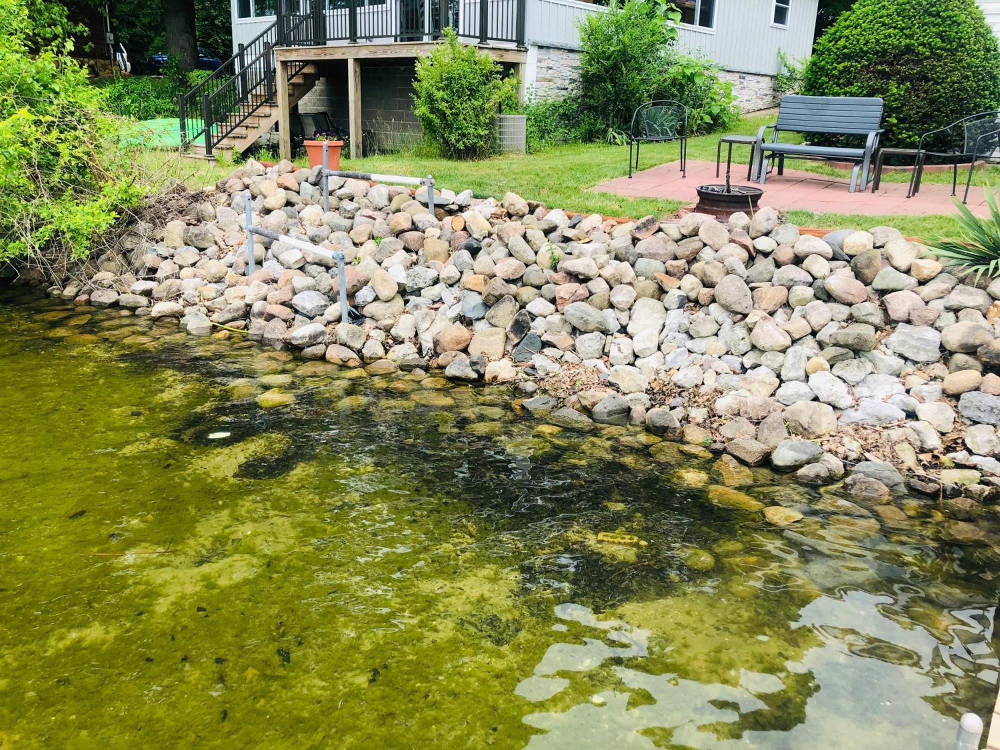 The Wellington Lake Cottage 米德尔伯里 外观 照片
